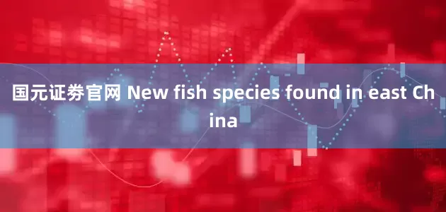 国元证劵官网 New fish species found in east China