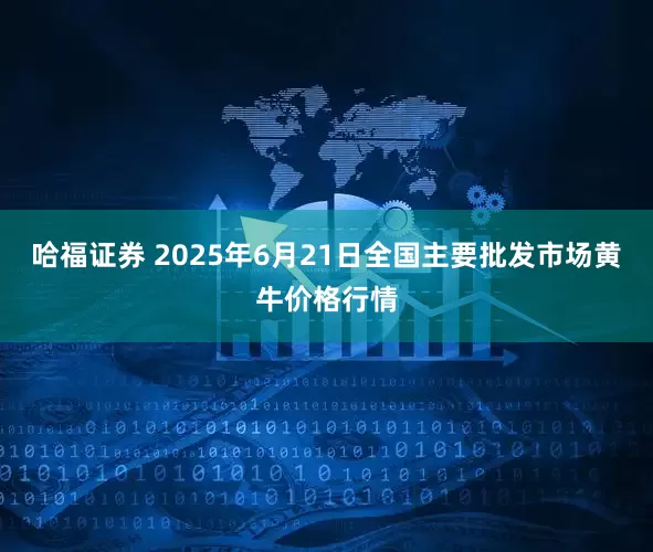 哈福证券 2025年6月21日全国主要批发市场黄牛价格行情