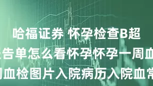 哈福证券 怀孕检查B超这个验血报告单怎么看怀孕怀孕一周血检怀孕3周血检图片入院病历入院血常规生化检查单住院单孕酮报告怀孕血检HGC先兆性流产B超图