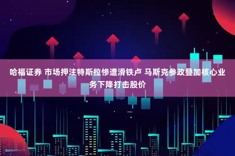 哈福证券 市场押注特斯拉惨遭滑铁卢 马斯克参政叠加核心业务下降打击股价